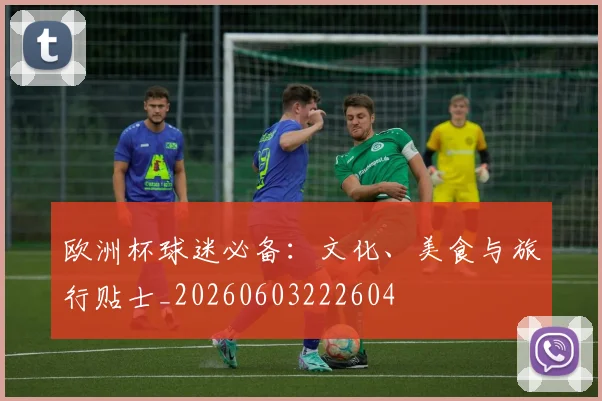 欧洲杯球迷必备：文化、美食与旅行贴士_20260603222604