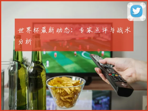 世界杯最新动态:专家点评与战术分析