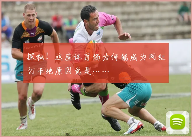 探秘！这座体育场为何能成为网红打卡地原因竟是……