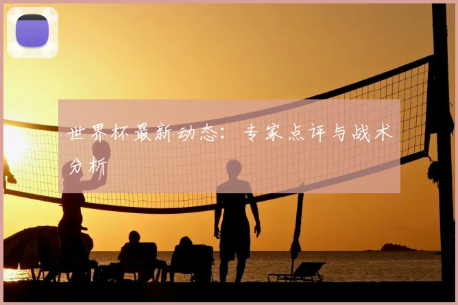 世界杯最新动态:专家点评与战术分析